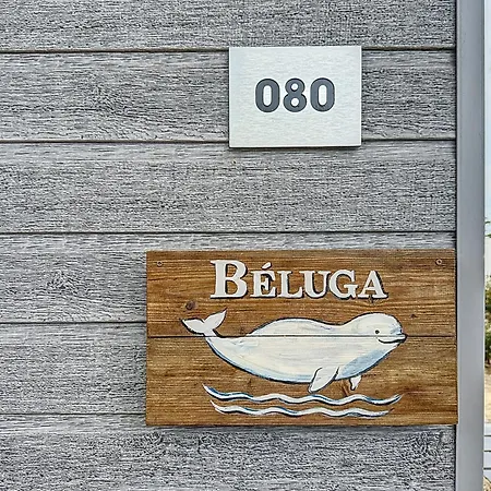 Le Beluga Kemping