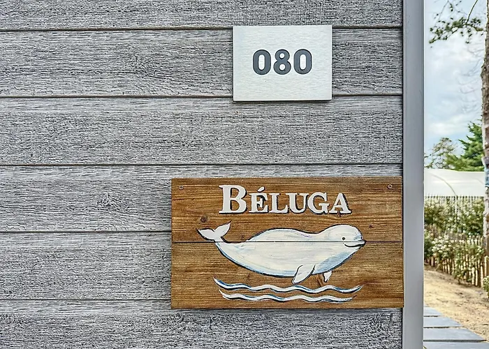 Le Beluga Campsite